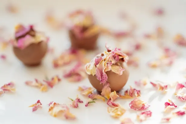 Moon Casino App Android/iOS